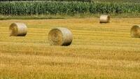 seno hay-bales-4501943 960 720